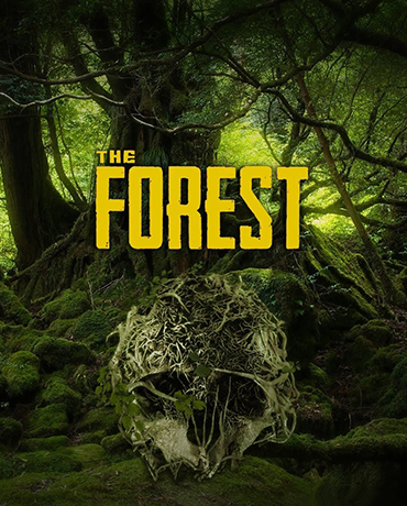 Постер игры The Forest